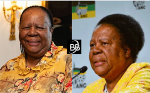 Naledi Pandor Biography